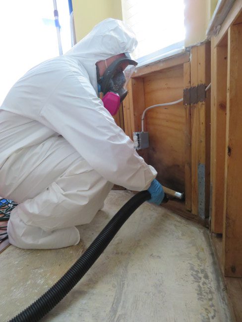 mold remediation technician cleaning mold from a cabinet