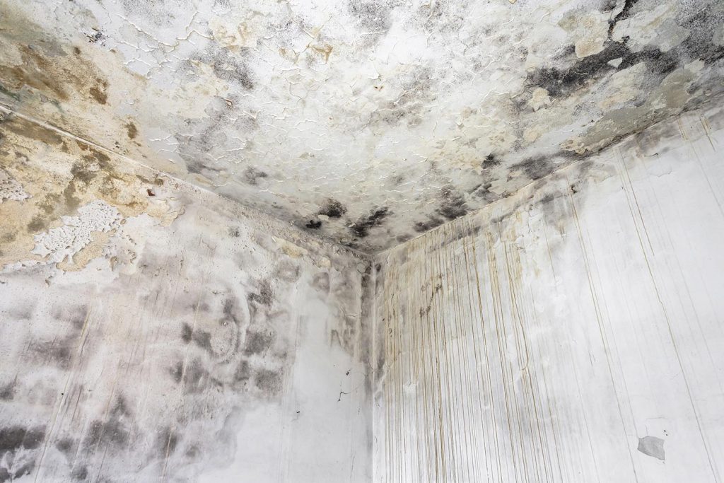 Mold on ceiling prior to removal